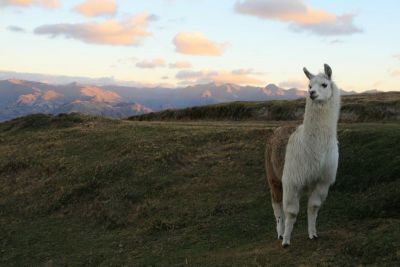 quilotoa001.jpg