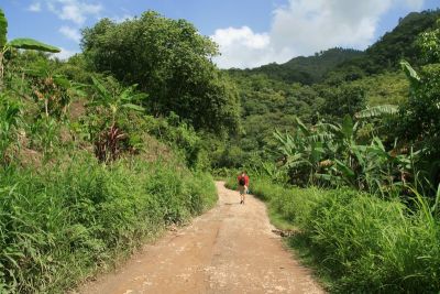 semucchampey001.jpg