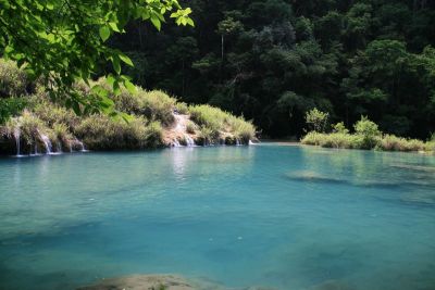 semucchampey003.jpg